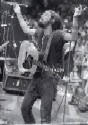 Harry
1973